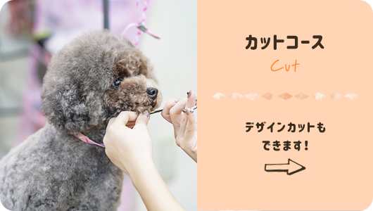 カットコース