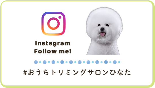 Instagram Follow me!