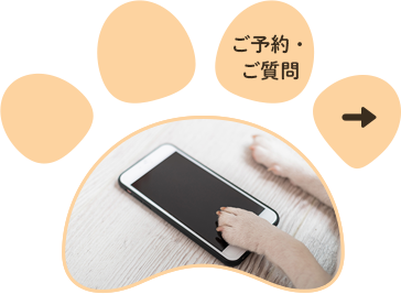 ご予約・ご質問