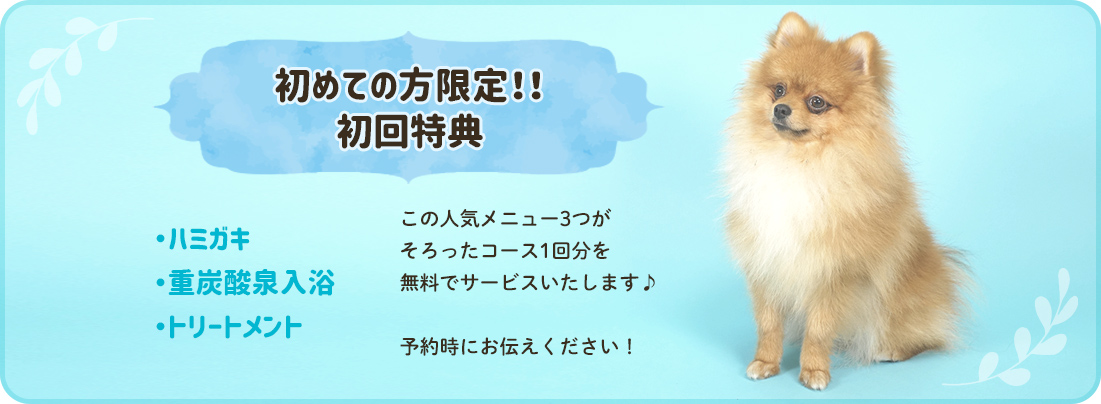 初めての方限定！！ 初回特典